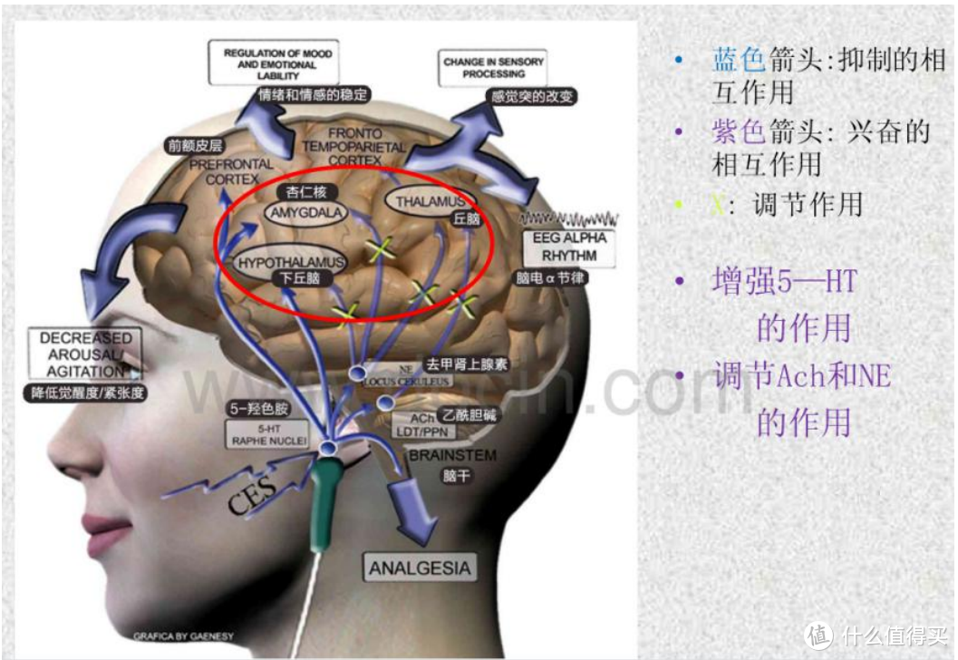 改善睡眠质量好方法，ZDEER左点睡眠仪开箱体验