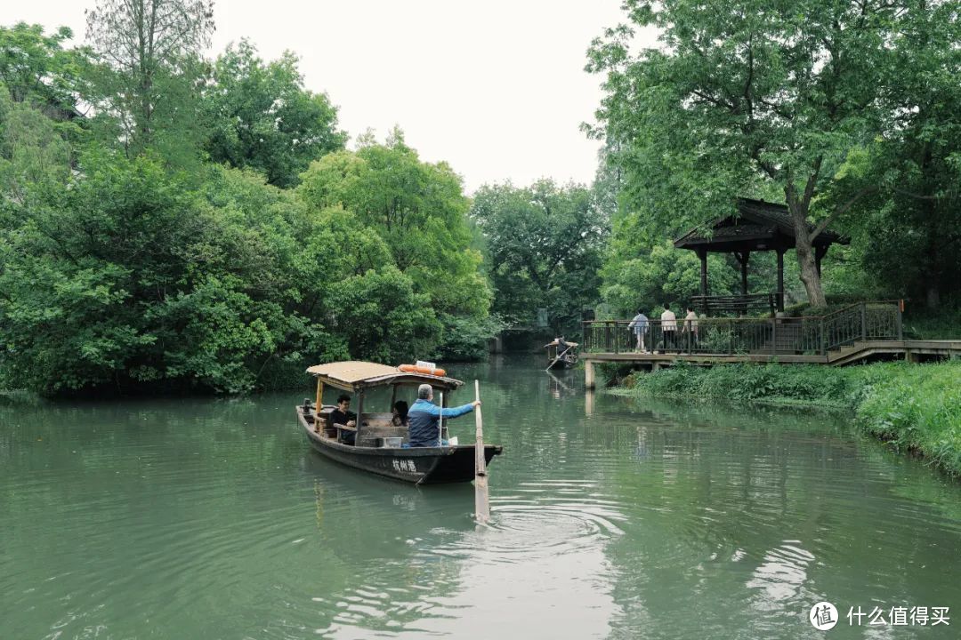 春天的顶流，江浙沪的清流