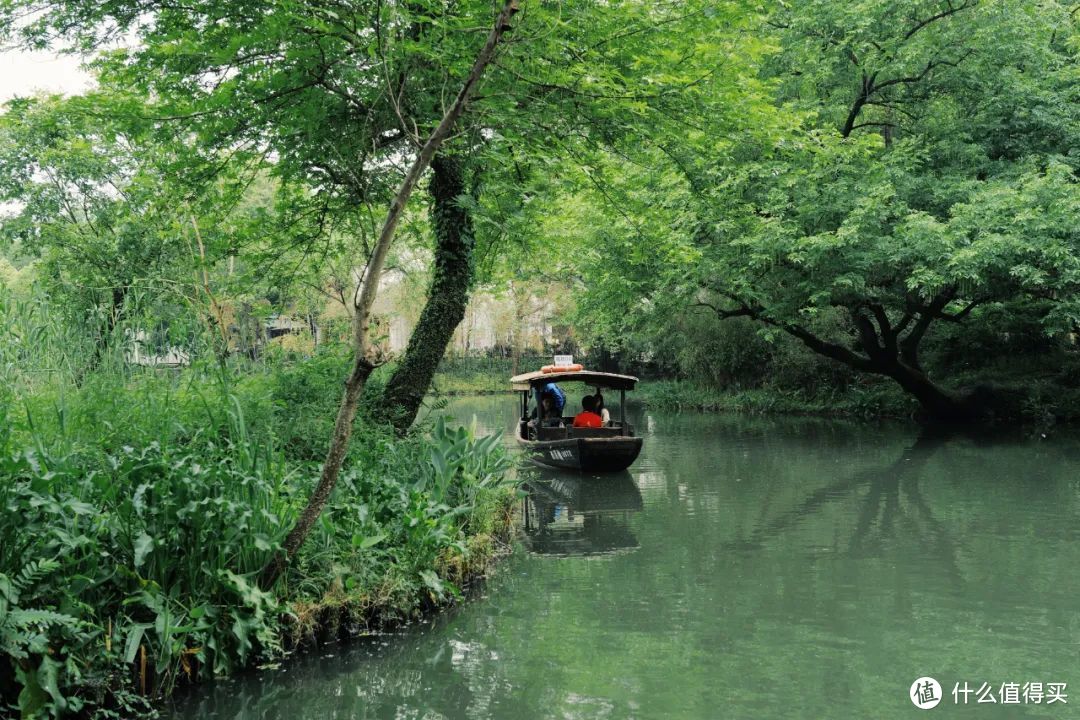 春天的顶流，江浙沪的清流