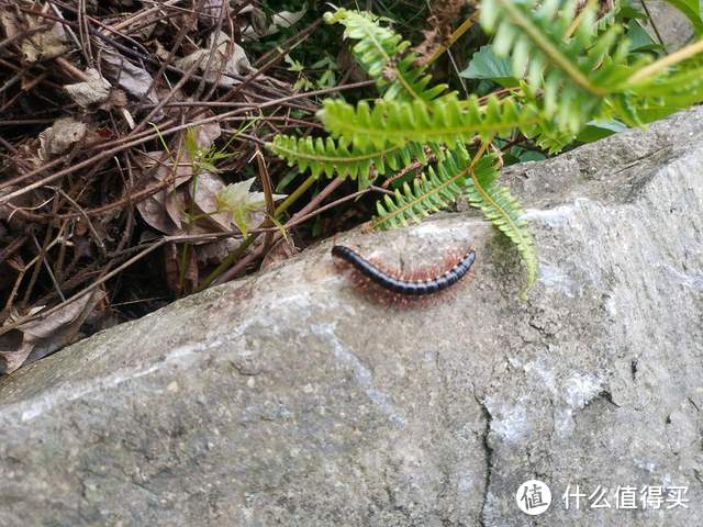 灵动清爽：黑冰夏日套装