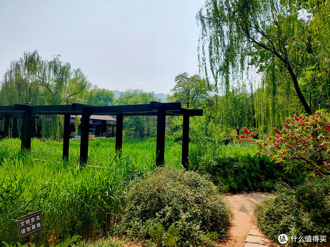 五一旅游，用手机拍摄国家植物园的美景