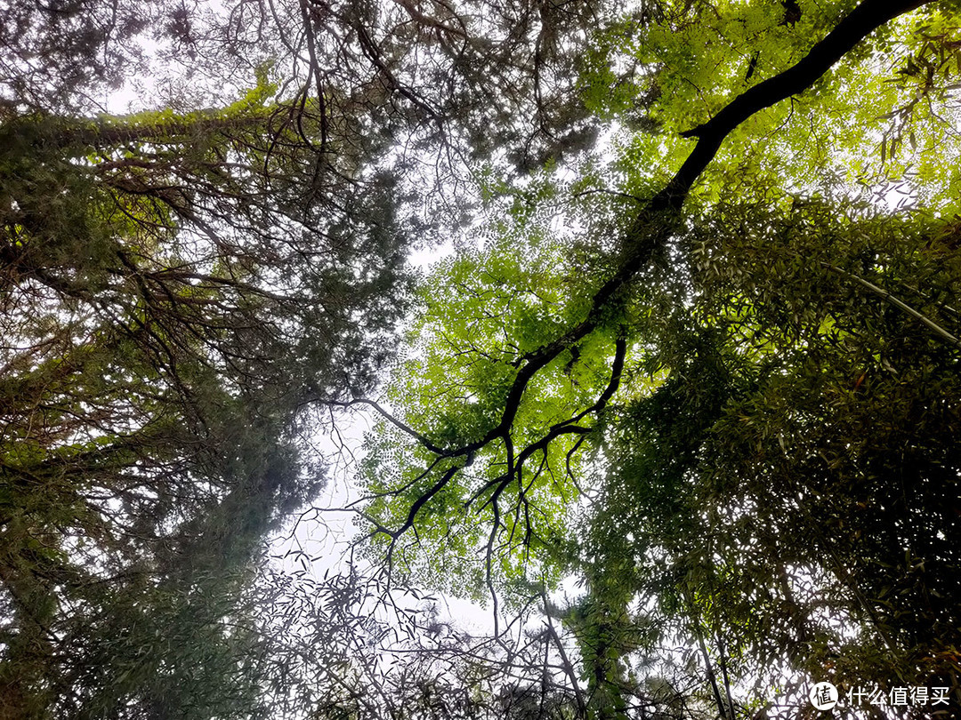 五一旅游，用手机拍摄国家植物园的美景