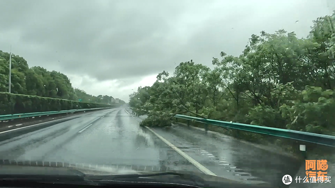 跑高速遇到暴雨，做错了很危险，喵哥教你正确做法，新手学学 