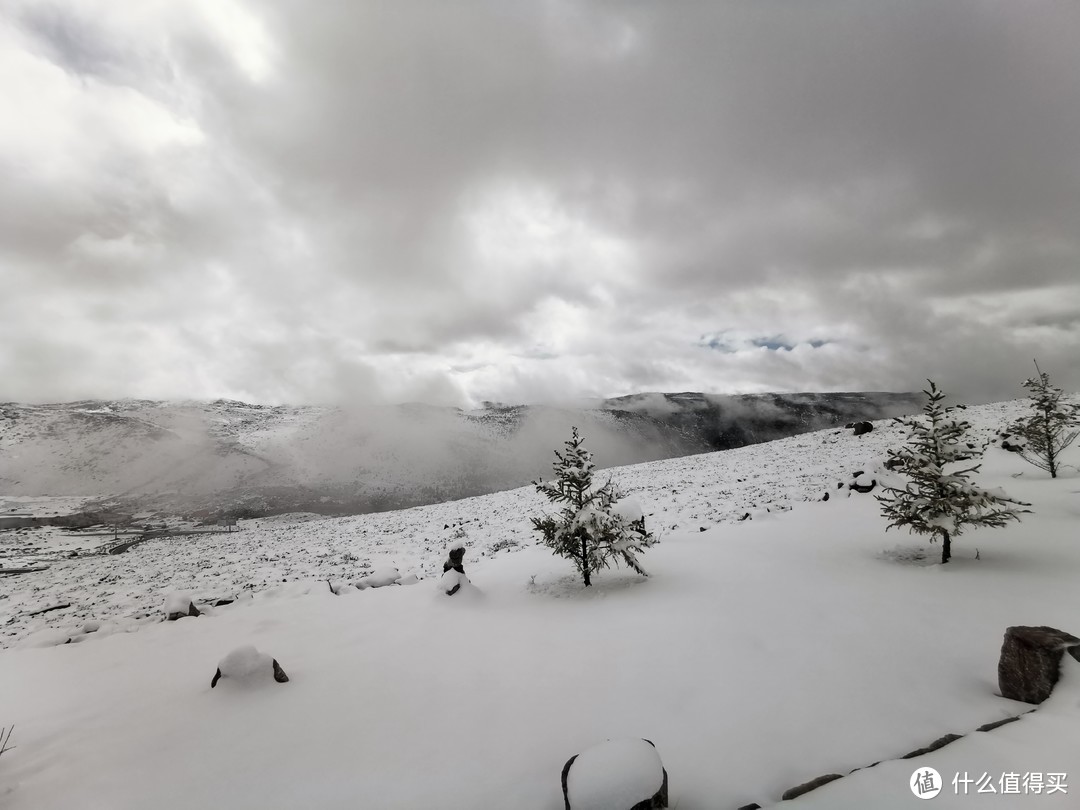 去机场的一路上都是雪