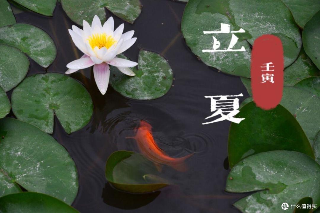 明日立夏建议喝1茶吃2食忌3样应季而食入夏更轻松