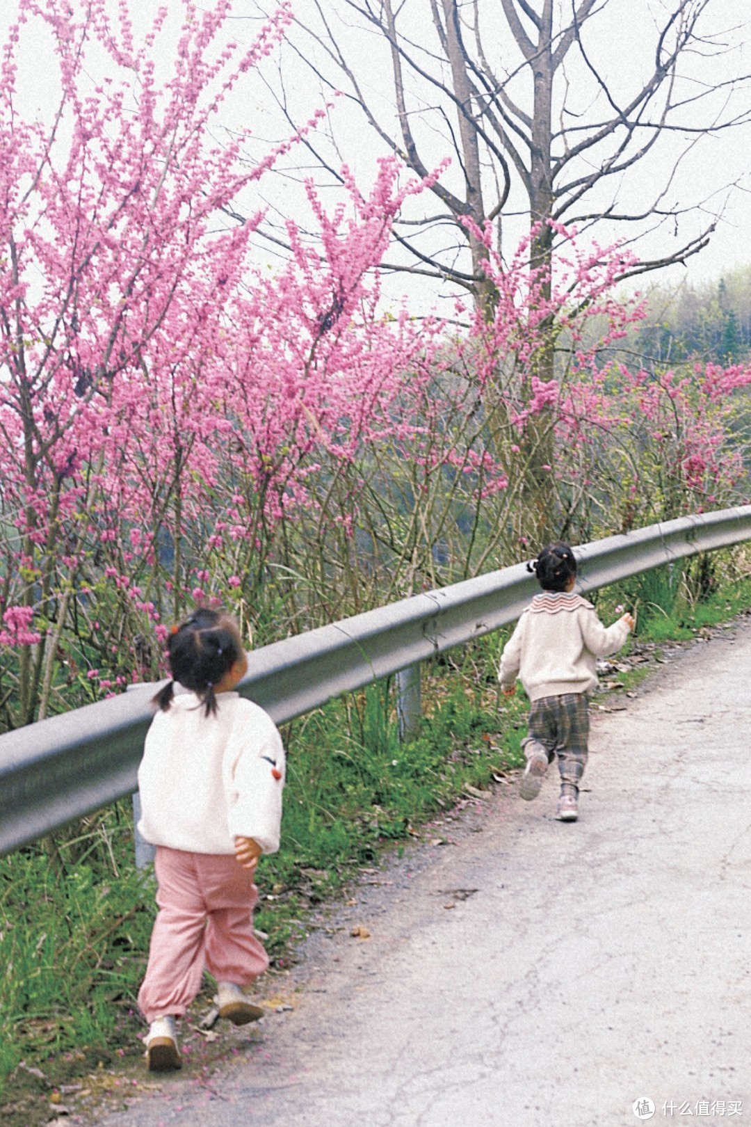 踏青，去看花啦