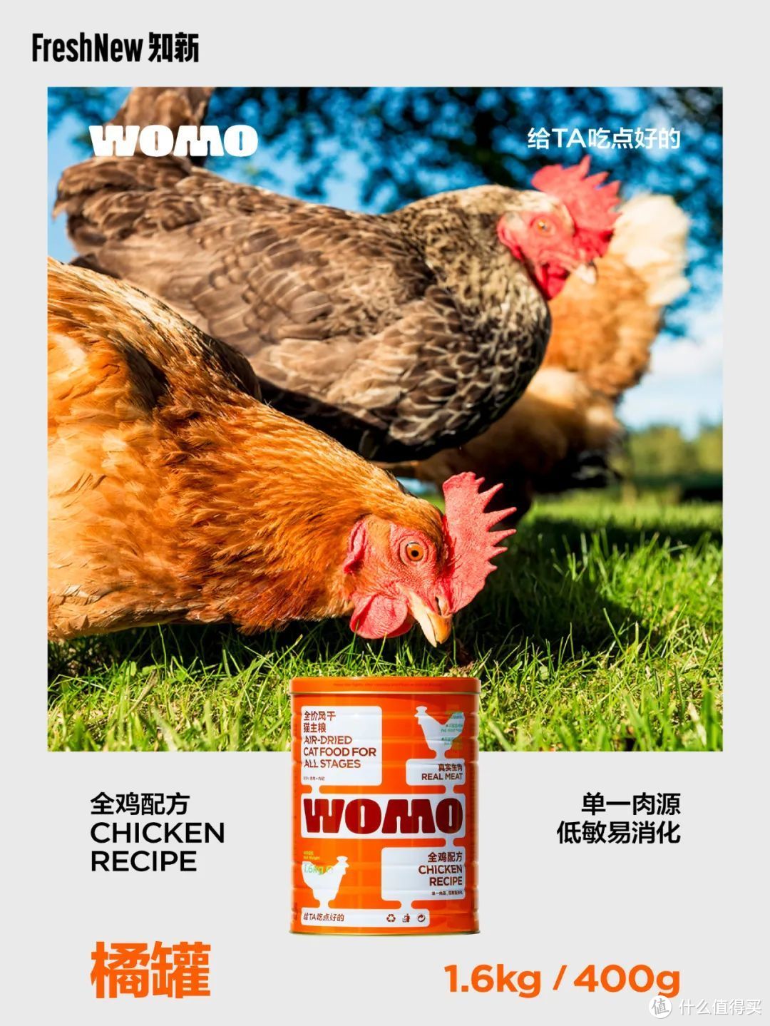 「WOMO」创始人7问：为宠物建立全面科学的膳食营养补充体系