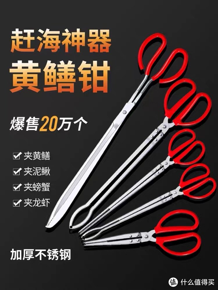 靠山吃山，靠海吃海！假期出游必备的赶海装备推荐！趁着天好，快去海边“进货”吧！