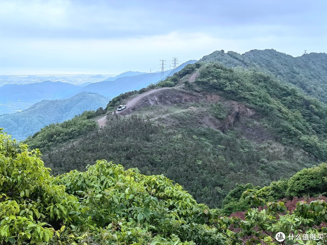 每百公里10个树莓-大山里 童年的味道-覆盆子（树莓）成熟了-一次LSD流水记