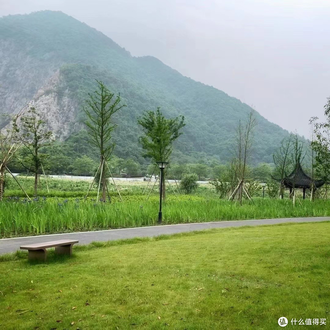 杭州铜鉴湖公园露营——大人们的过家家