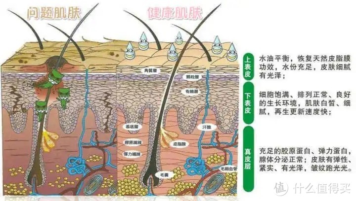 堪称透气床垫的天花板，雅兰6D空气垫  