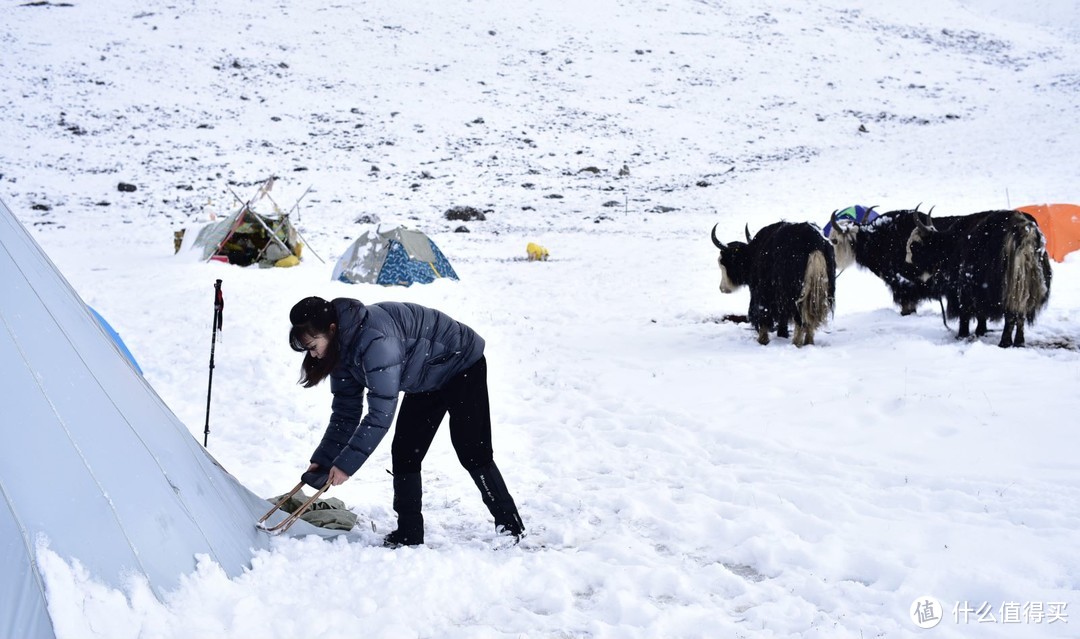 不可错过的国产900篷羽绒服——黑冰8732M冰天雪地体验