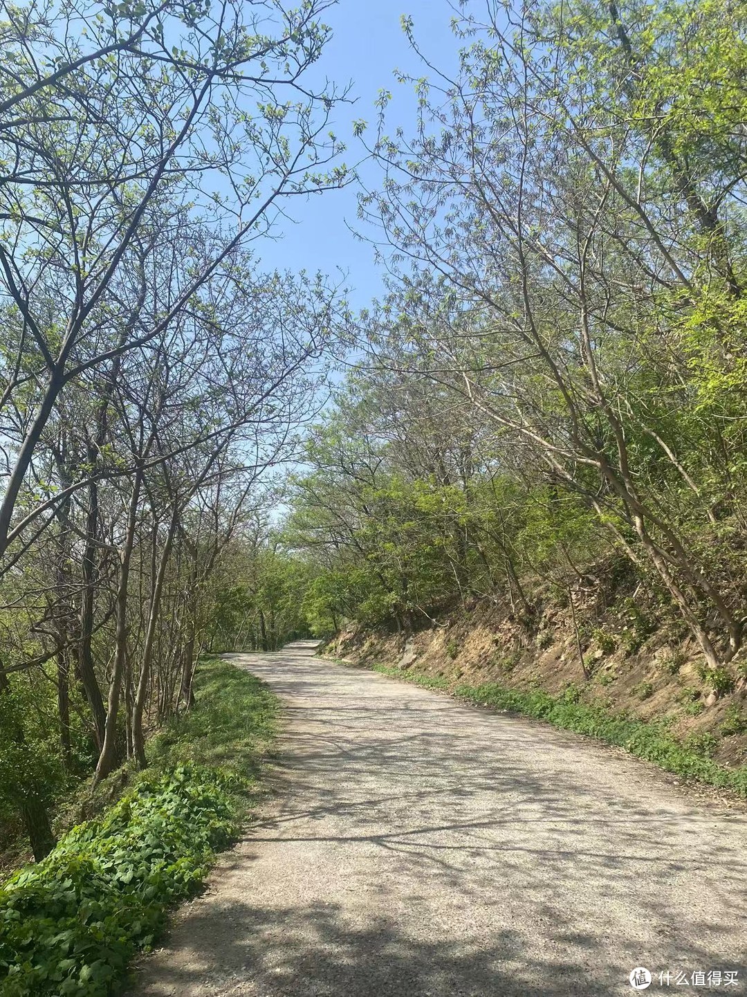 京郊登山徒步攻略：香山邮局-香山好汉坡-防火道-西山森林公园