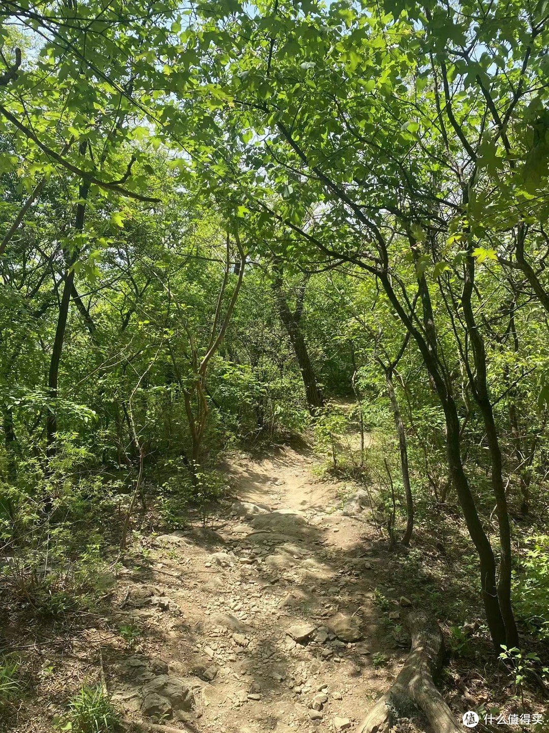 京郊登山徒步攻略：香山邮局-香山好汉坡-防火道-西山森林公园