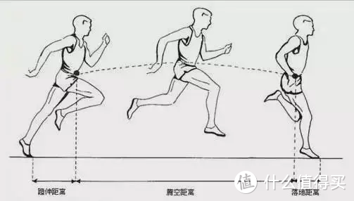 跑步减肥慢没效果膝盖疼？试试180BPM步频吧