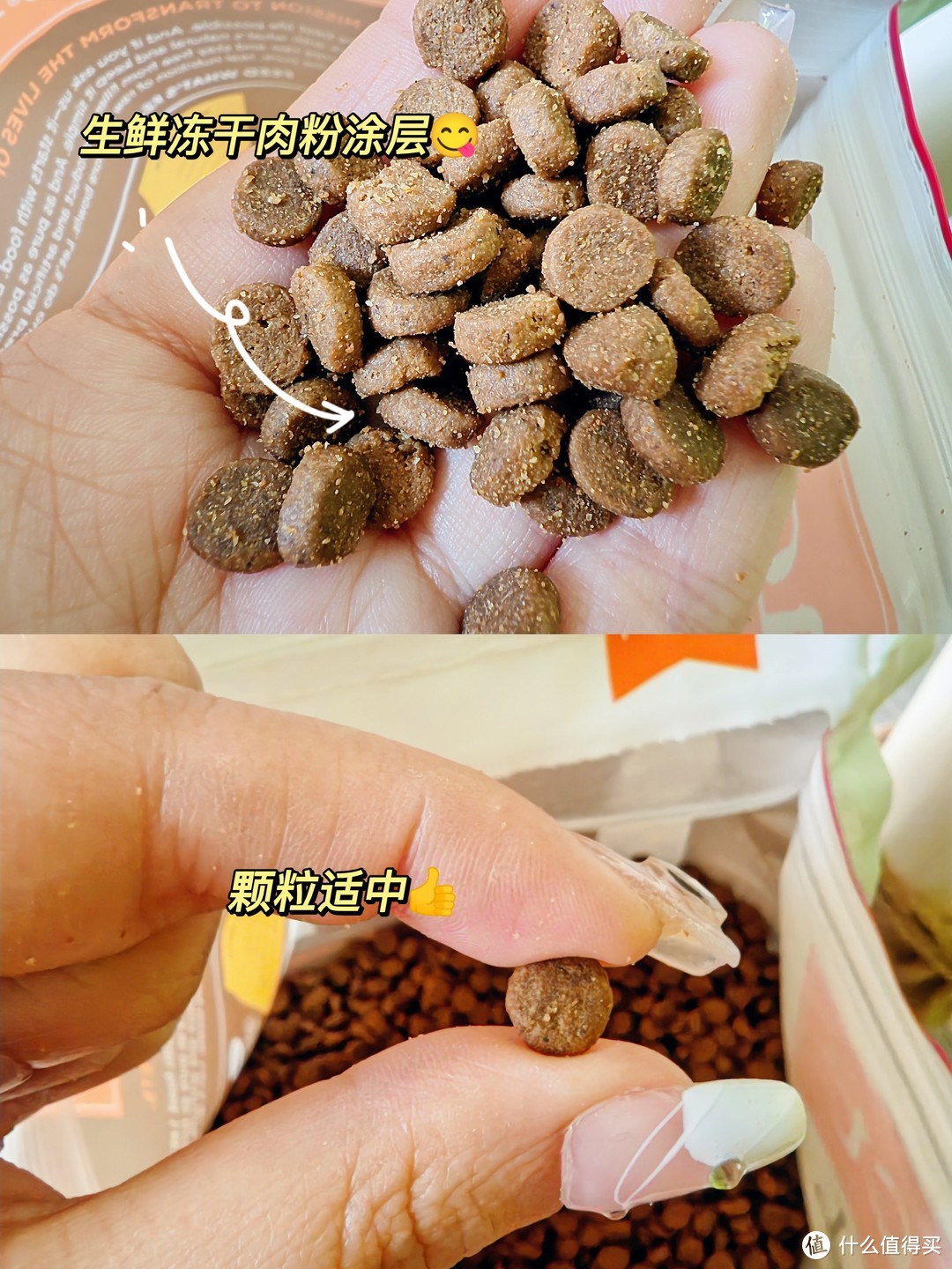 终结挑食猫，我要按头安利这款猫粮了！！！