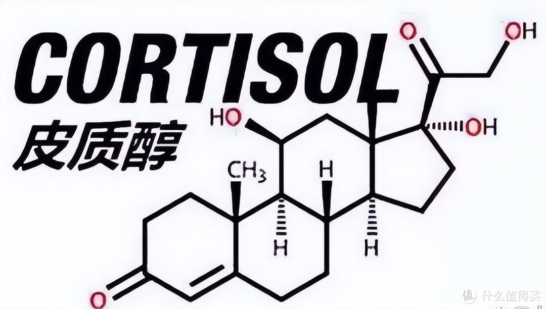 居家两个月，减脂12.4kg的！分享下我的经验，简单粗暴但有效