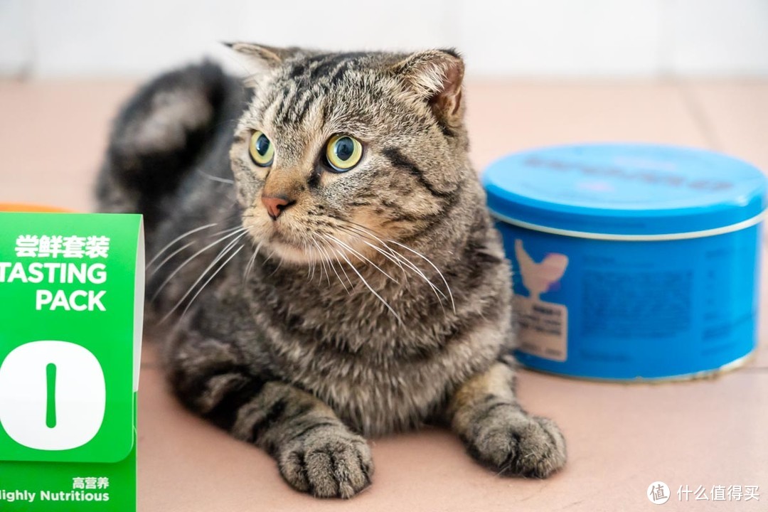 WOMO风干猫粮评测：全面均衡营养给宠物最健康的快乐