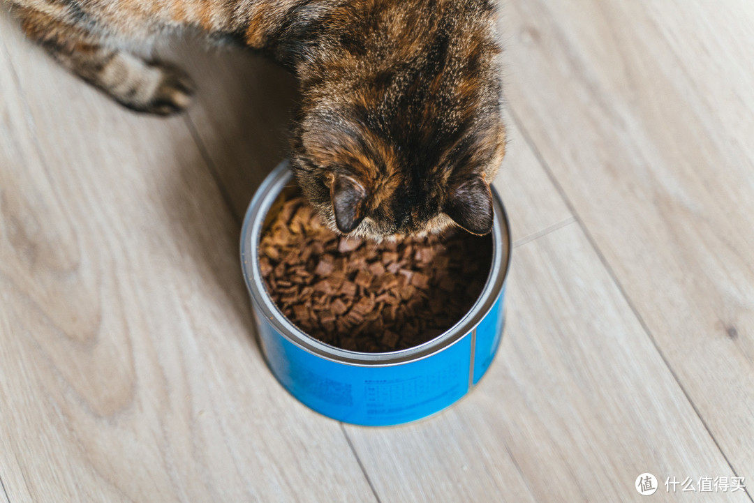 让猫咪爱上吃饭的无肉粉的纯肉猫粮——WOMO全价风干猫粮