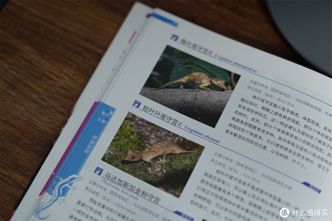 《世界爬行动物图鉴》带大家探索大自然中的小精灵们