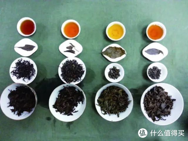 这些茶界冷知识，你知道几个？