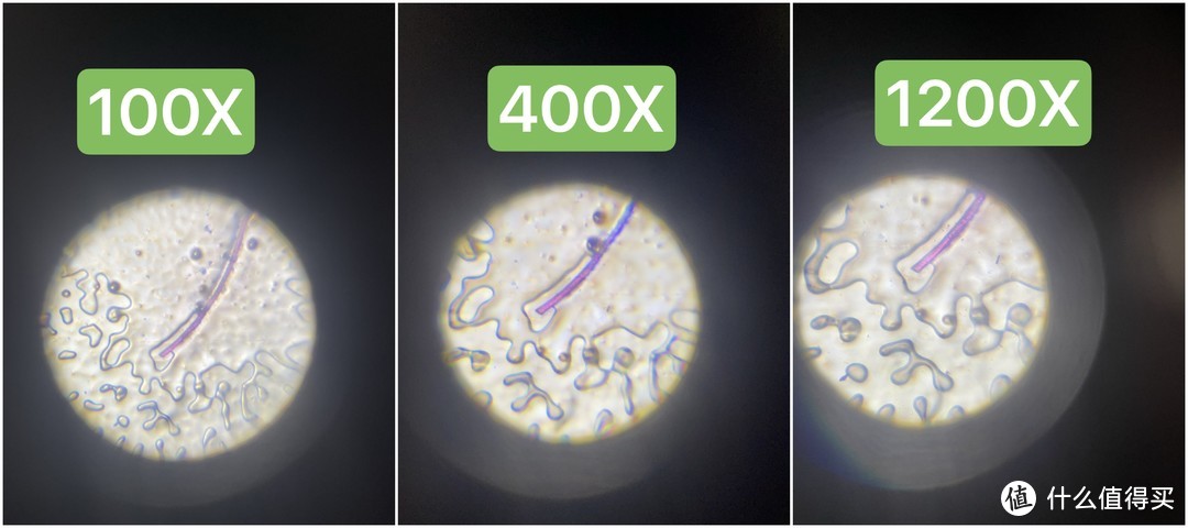 仅仅是个玩具而已，1200X显微镜晒单