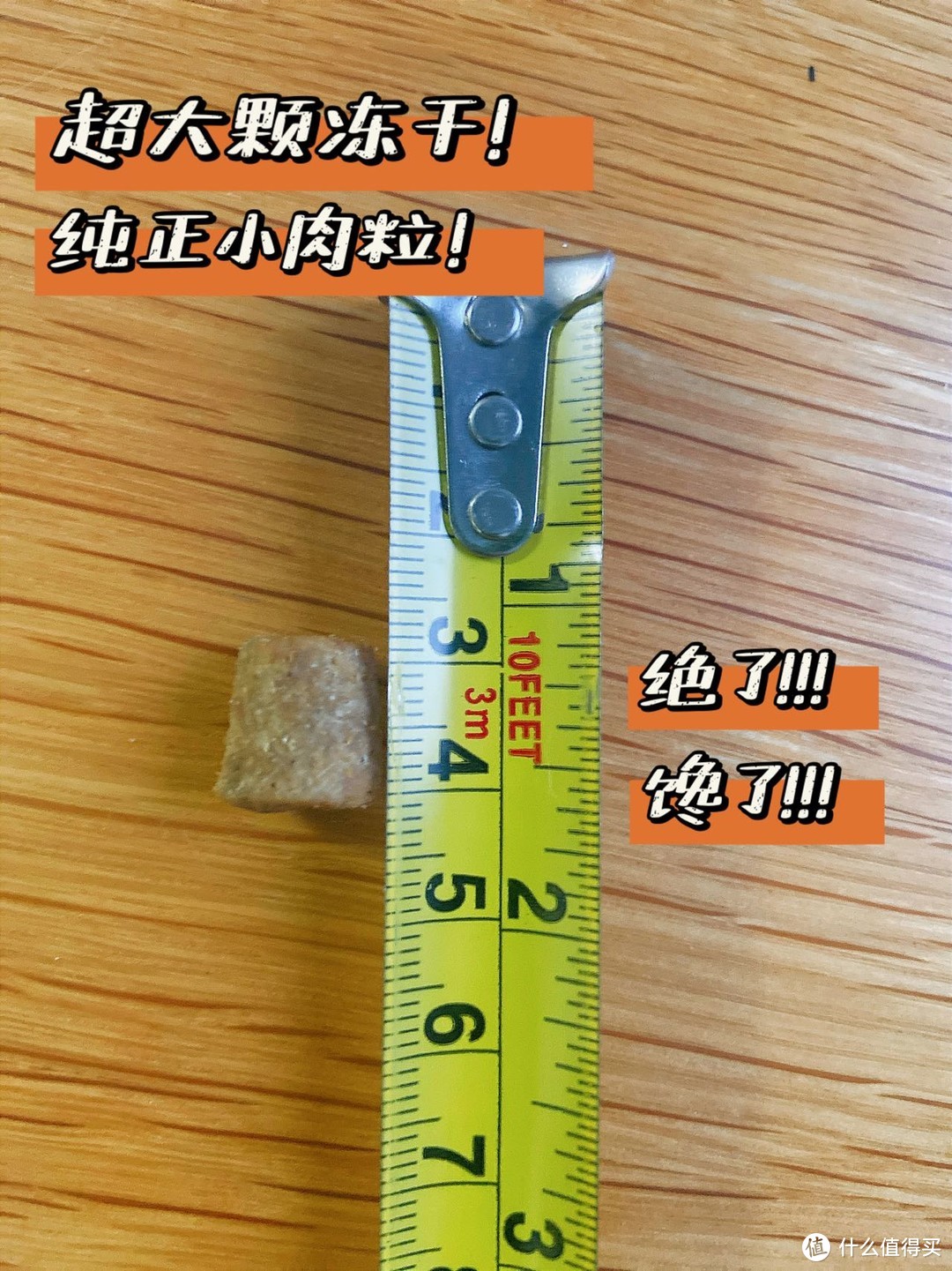 想要“伺候”好挑食小猫咪，赶紧看这里！