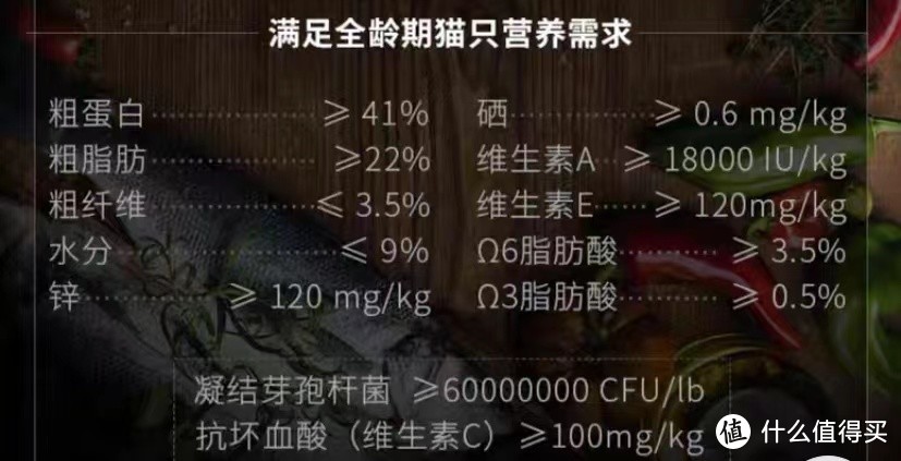 想要“伺候”好挑食小猫咪，赶紧看这里！