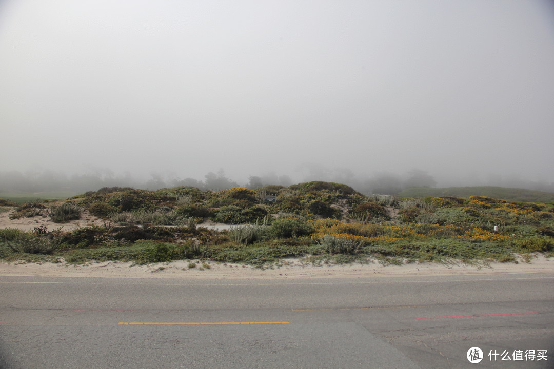 早上的17里湾雾气非常大