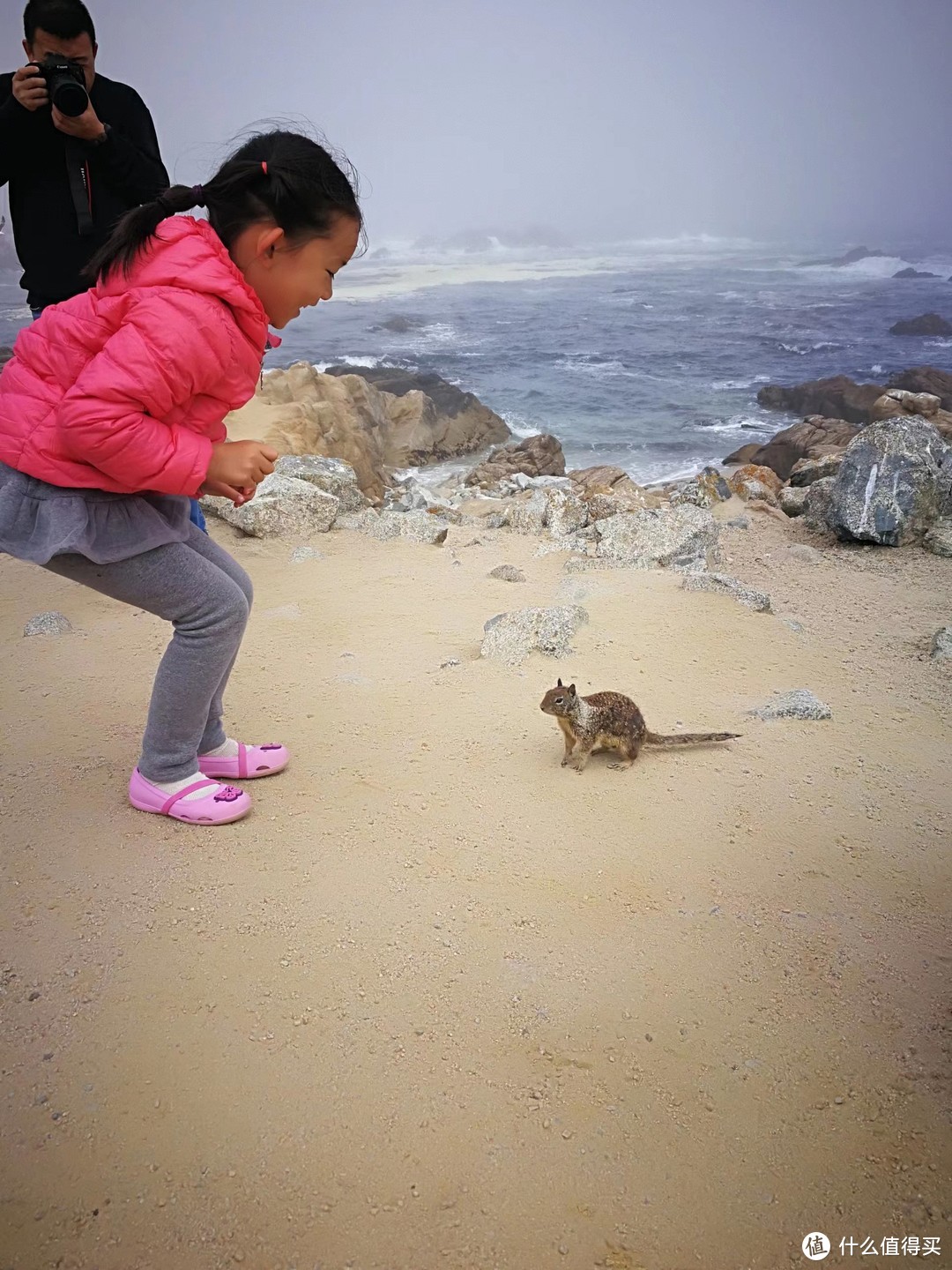 孩子在17里湾和小动物互动