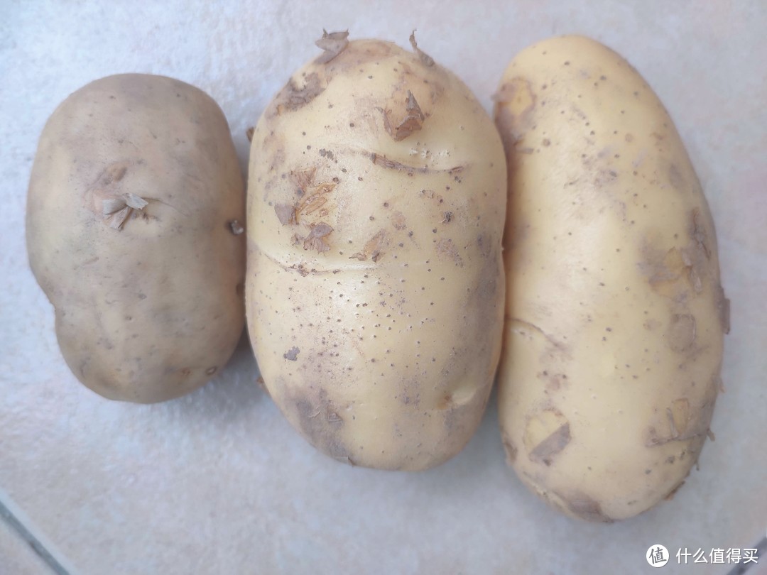 土豆竟然不耐放？哪种土豆易发芽？关于土豆的奥秘听我给你理理！