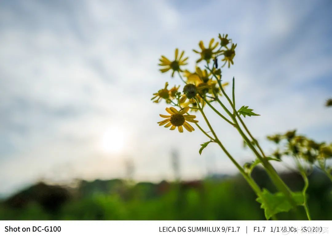 你见过这么小的超广角大光圈吗？松下9mm F1.7镜头测评