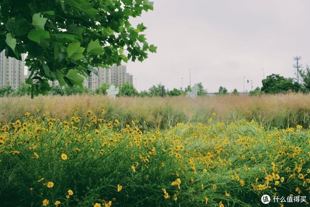 浙江这座城市，永远OK