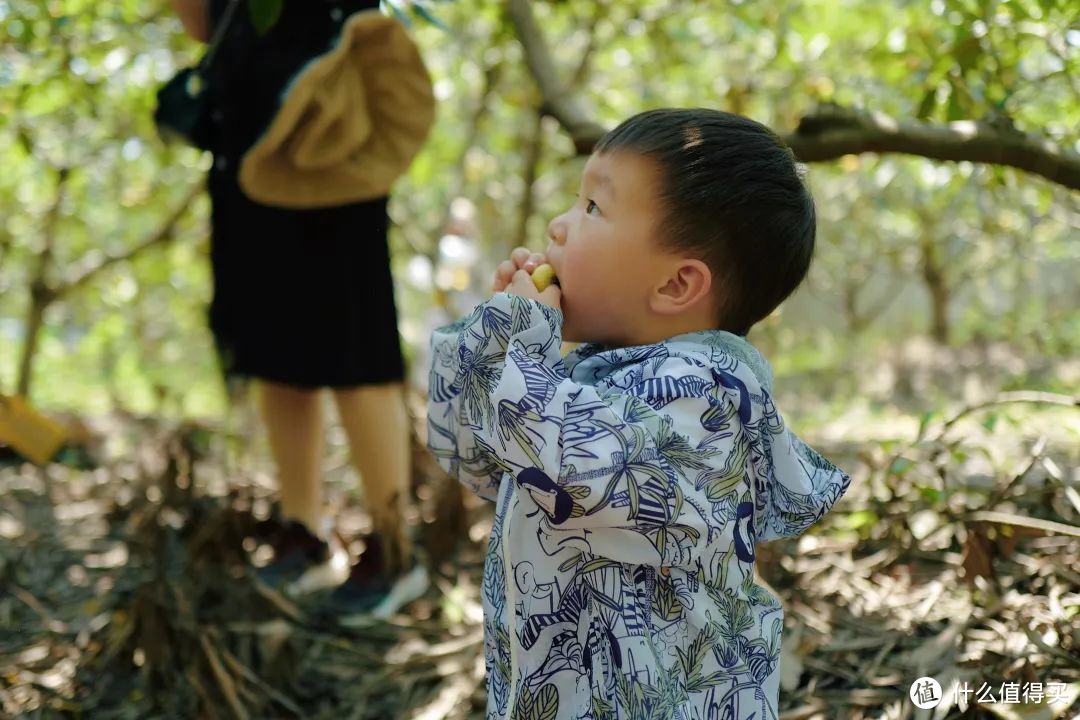 初夏不抓紧来这座古镇，真的会可惜！