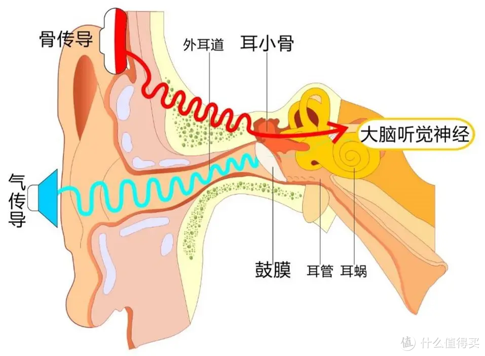 夏日跑步装备推荐，一路奔跑音乐相随。iKKO iTG01骨传导蓝牙耳机使用体验