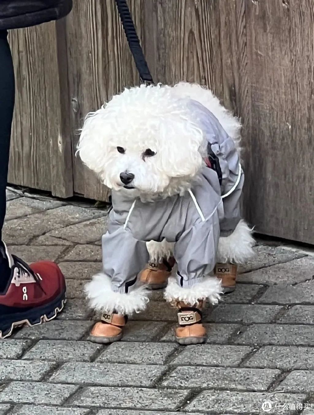 小郑去他国，和各大城市的帅哥靓妹比美！