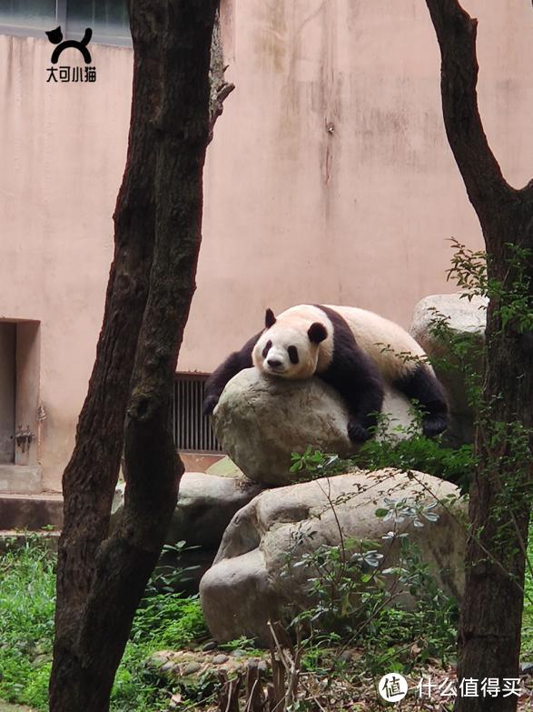 少不入川乐而思蜀小游记