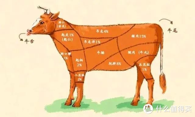 潮州美食的故事，要从一头牛说起……