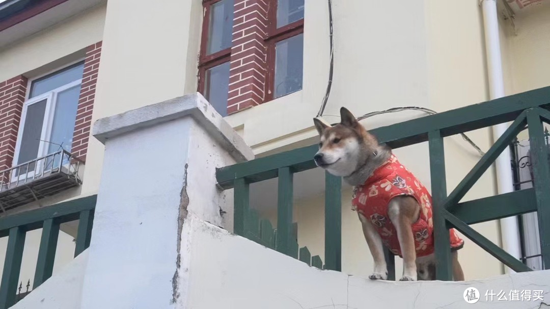 去海边不一定要去三亚，今年夏天的海边城市，我选它