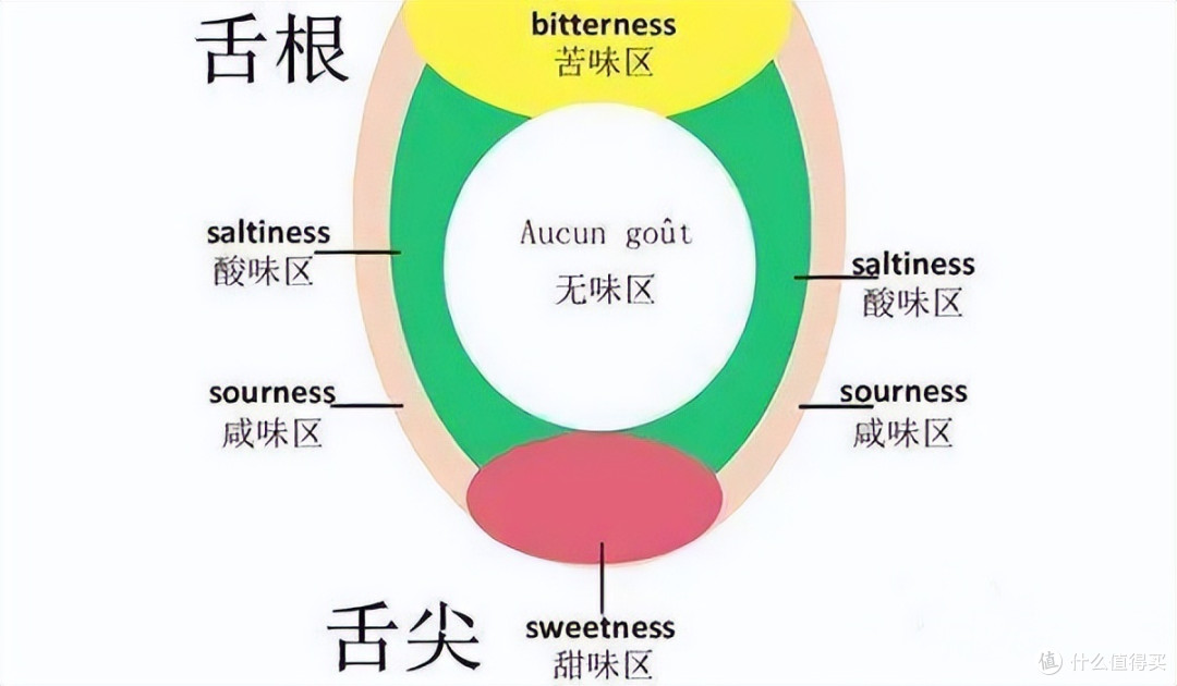 每次喝酱酒都感受不到它的"酸甜苦辣涩"?我教你如何品出五味
