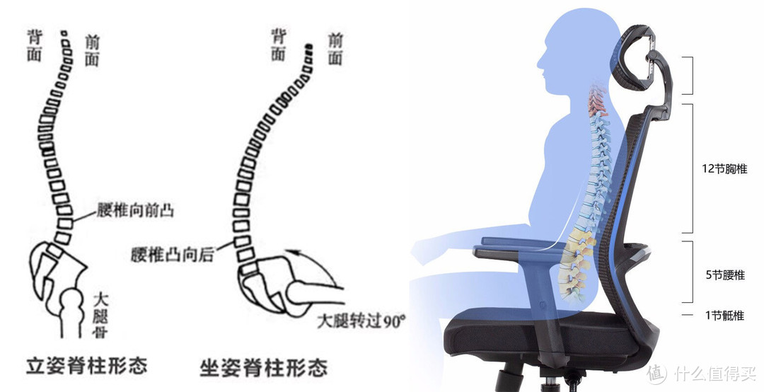 人体工学椅到底有没有用？入手西昊M57，谈谈我的看法