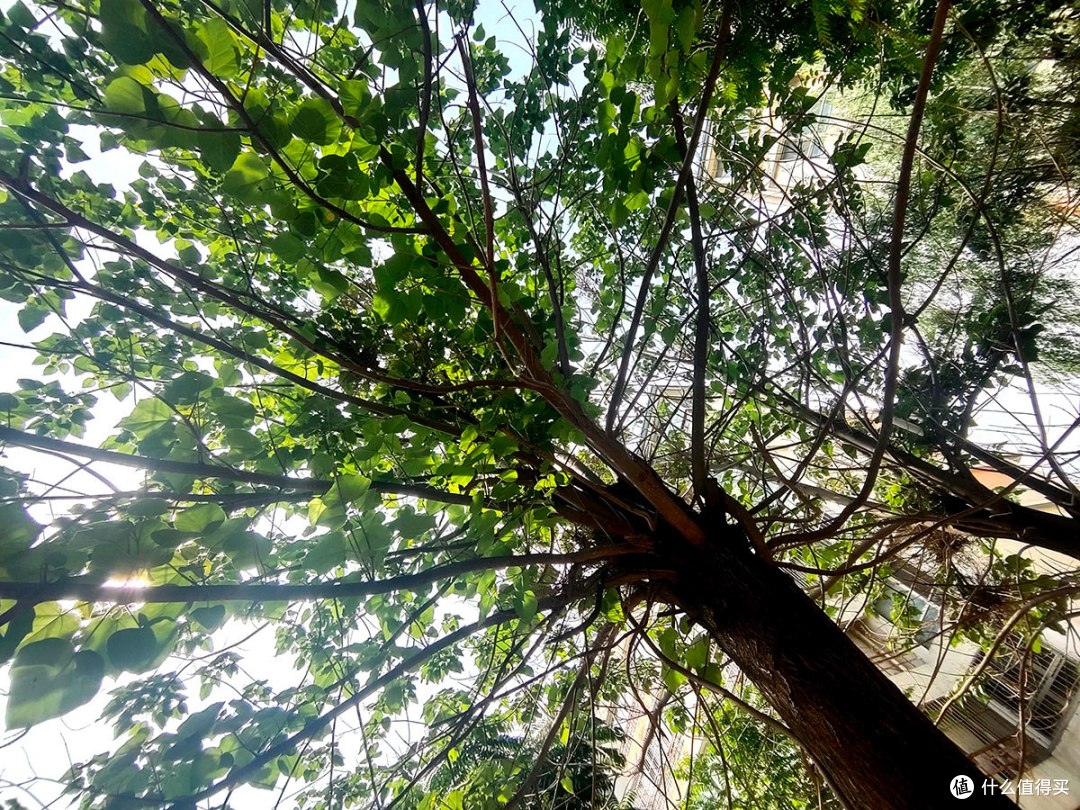 投石问路 篇四十一:neo手机摄影记录身边的美丽风景(横构图篇)