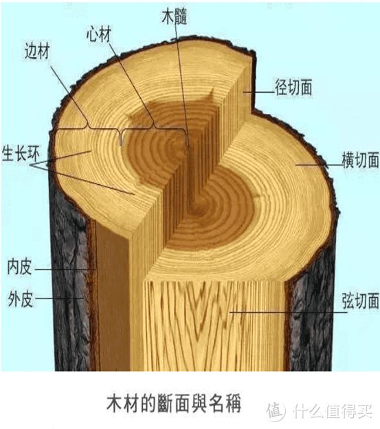 【避坑必看】买实木家具，你想清楚了吗？7个常见问题详解！低价就更值吗？实木有甲醛吗？气味大啥原因？