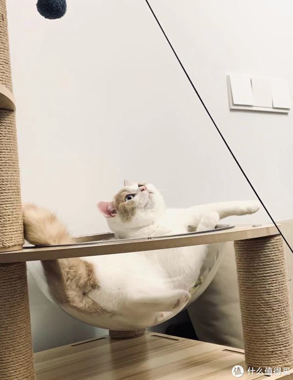 怎么用球鞋快速变现赚钱 球鞋如何变现