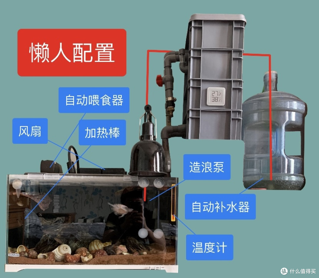 我的懒人鱼缸④自动系统