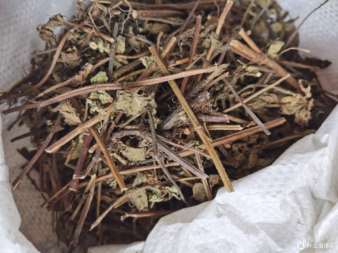 夏日炎炎一起实现烧仙草自由吧