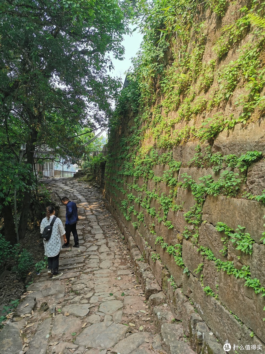 历史感满满的倚邦茶马古道遗迹