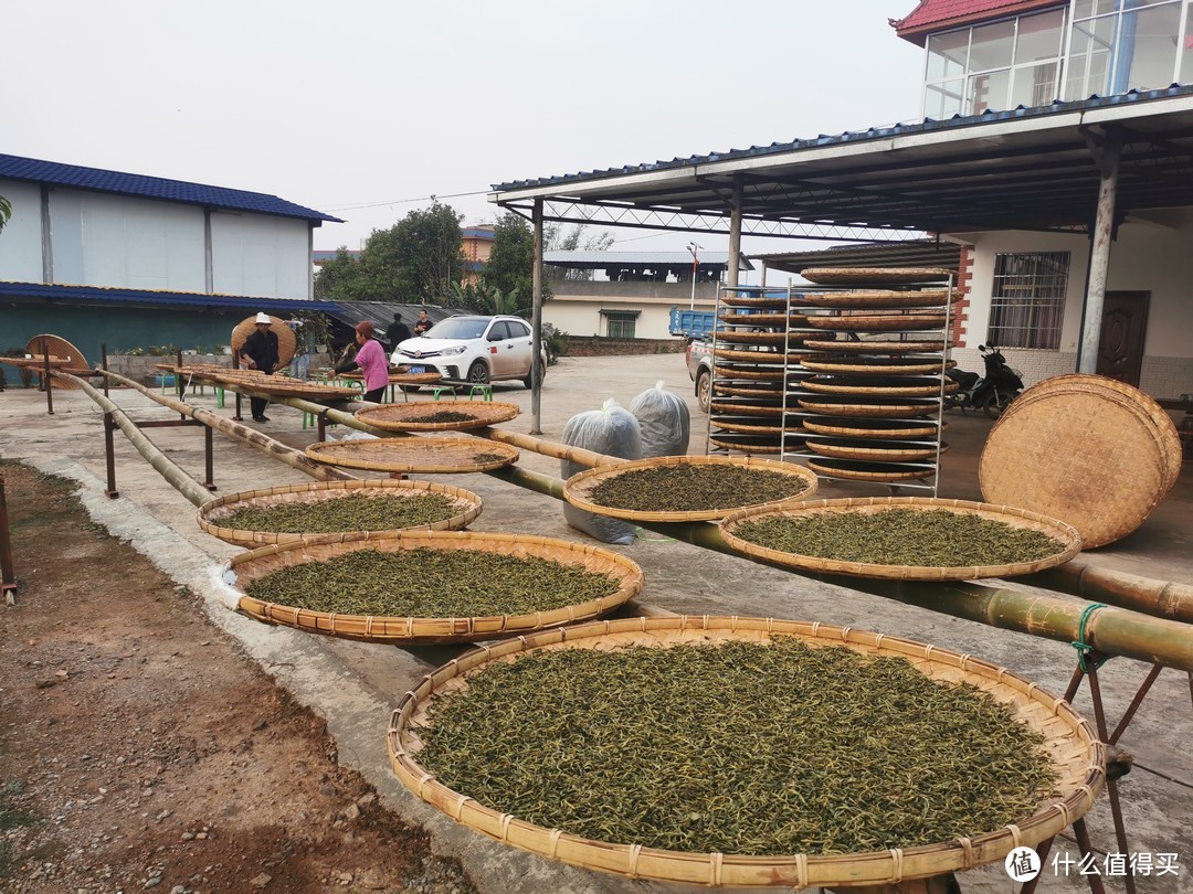 革登茶农大哥家的初制所