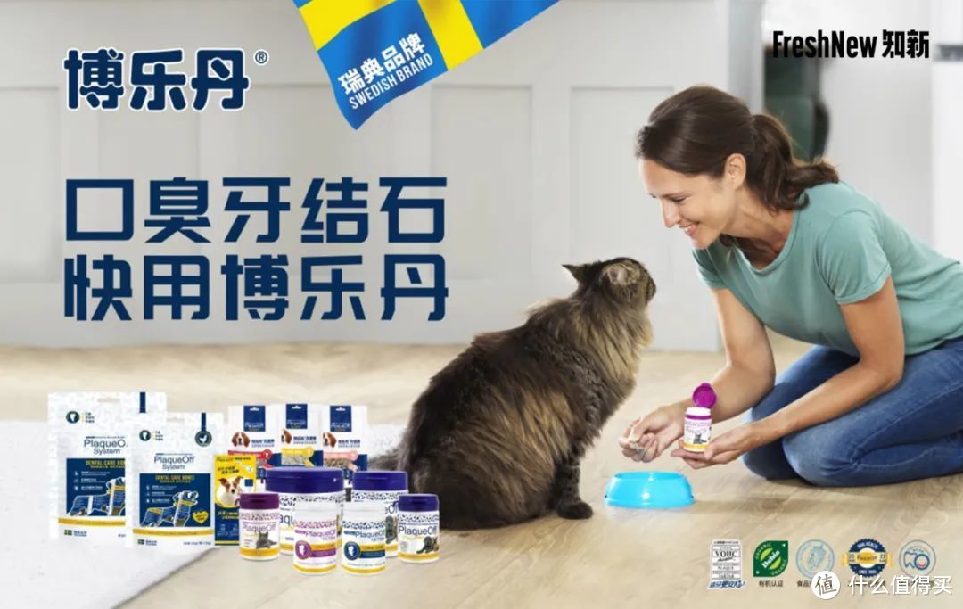 「吉宠」创始人7问：坚持匠心优选，把更多安全、健康、领先的宠物食品引入中国
