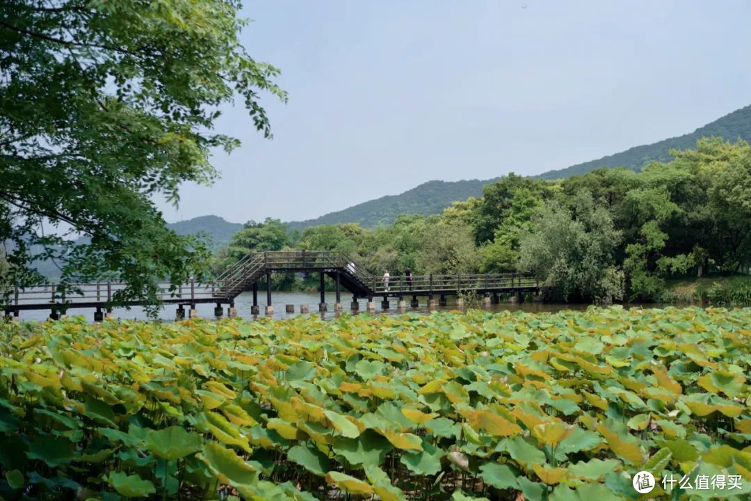 杭州不止西湖，本地人的秘密后花园是时候该火了！